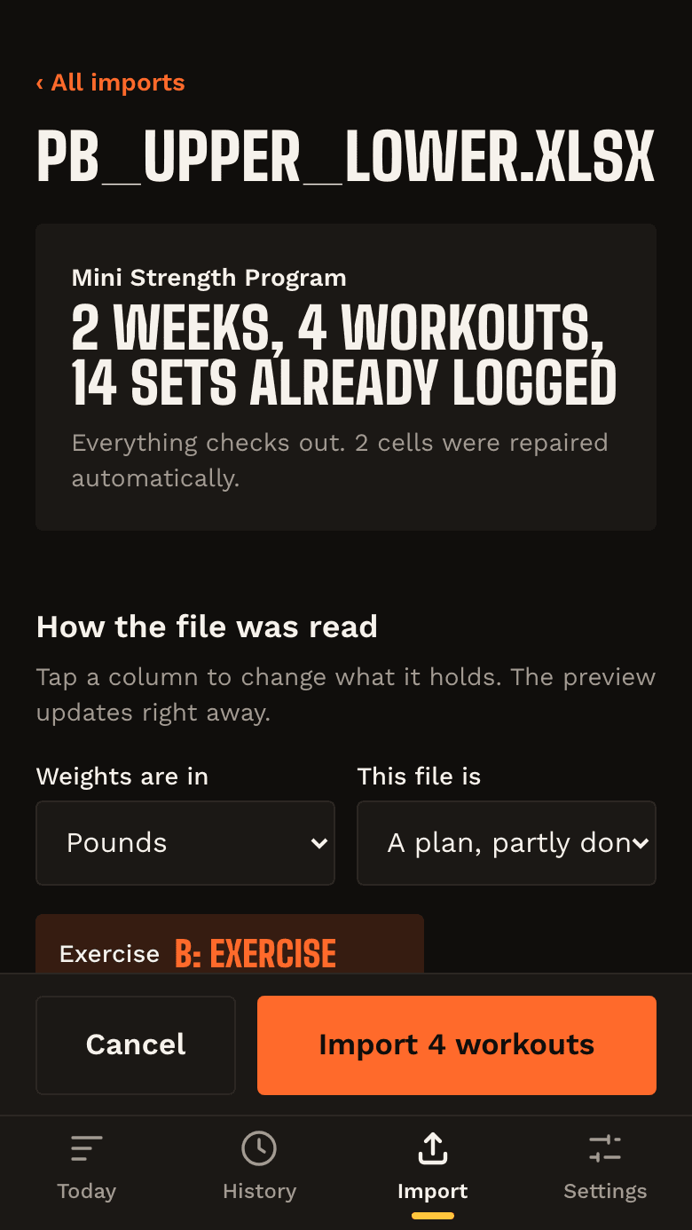 The import review screen: how each column was read, with a preview.