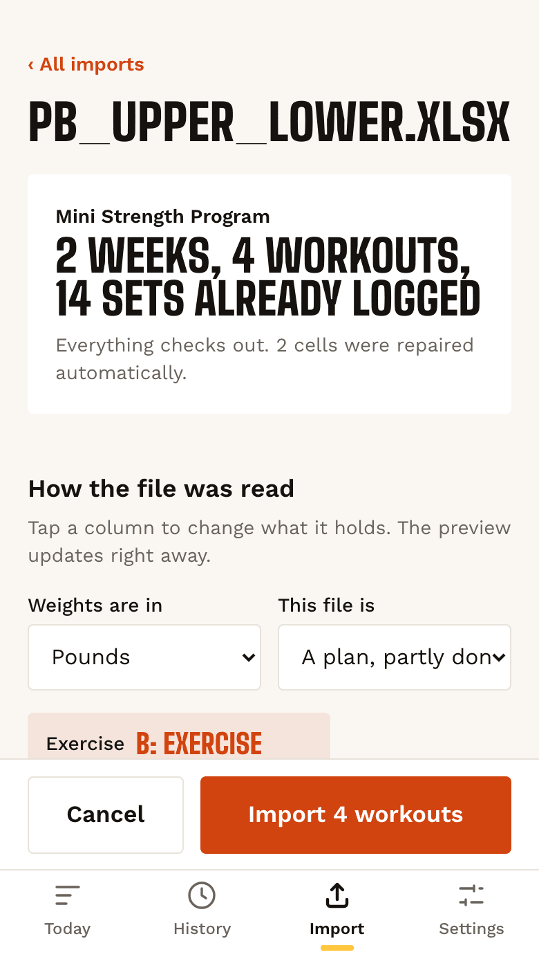 The import review screen: how each column was read, with a preview.